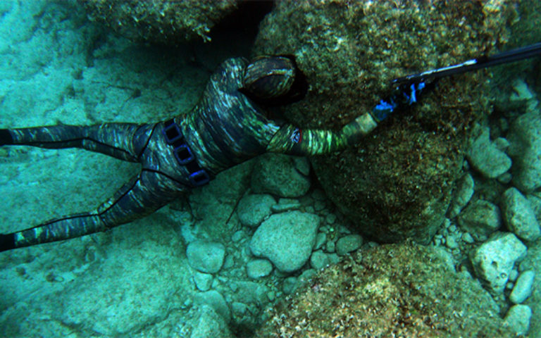 1x-diving-tex-camo-agguato