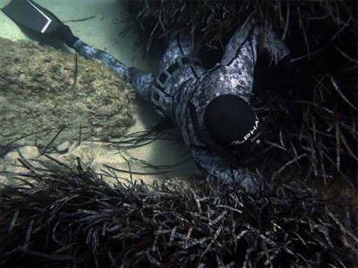 Muta mimetica pescasub PREDATOR DIGITAL
