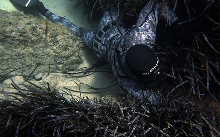 Muta mimetica pescasub PREDATOR DIGITAL