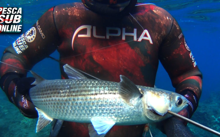 pesca-sub-dicembre