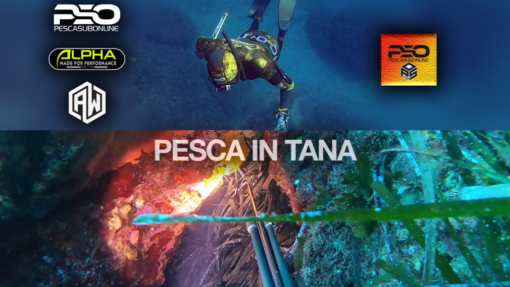 Pesca sub in tana