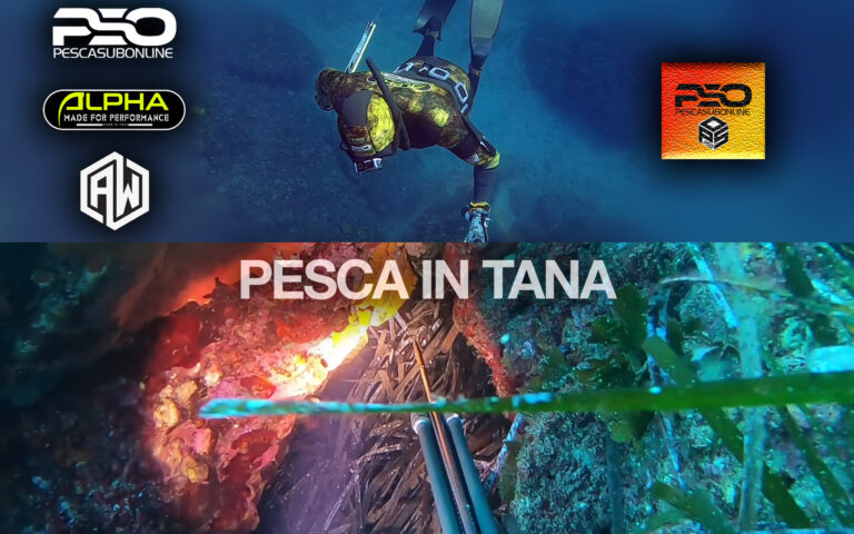 Pescasub in Tana Tecnica Attrezzatura e Sicurezza