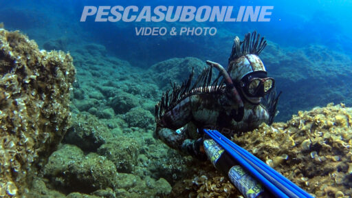Pescasub Aspetto tecnica