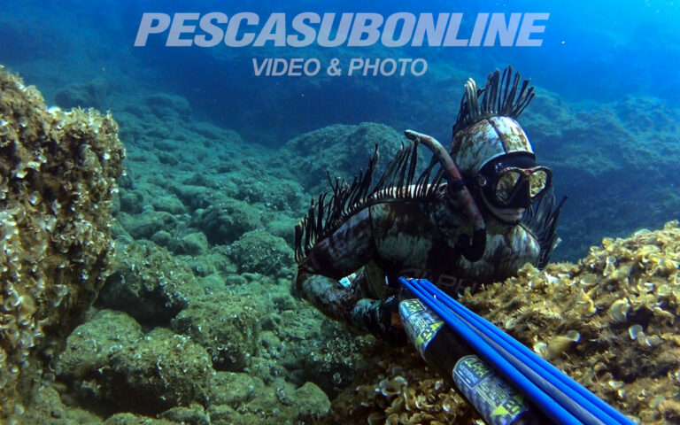 Pescasub Aspetto tecnica
