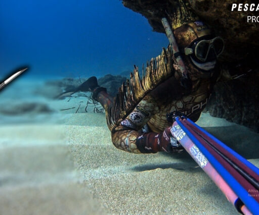 Pescasub attrezzatura