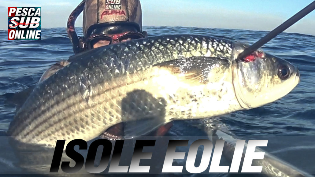 Pescasub-isole-Eolie
