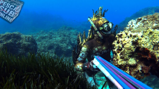 Pescasub isole Eolie i fondali e i pesci