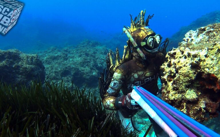 Pescasub isole Eolie i fondali e i pesci