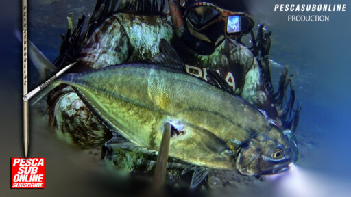 Tecniche di pescasub aspetto nel bassofondo spearfishing