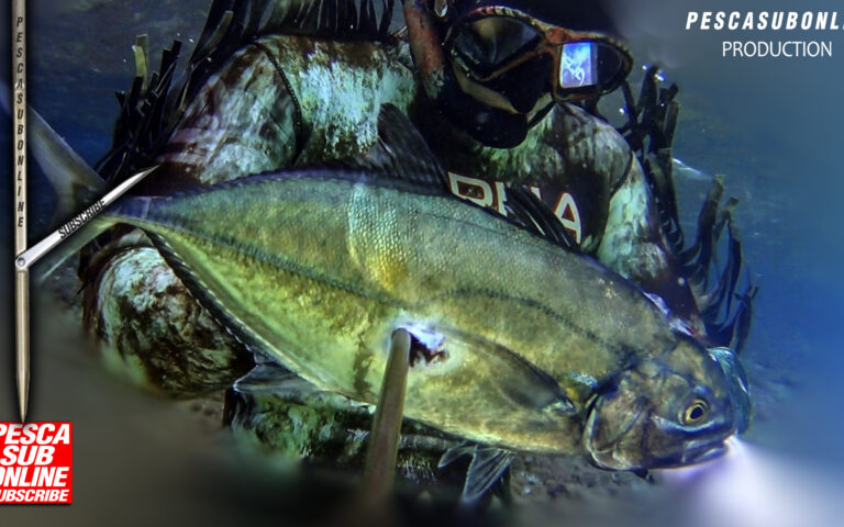 Tecniche di pescasub aspetto nel bassofondo spearfishing