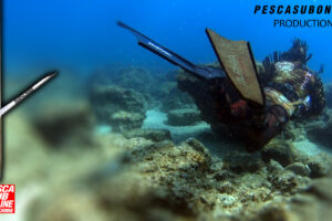 PESCA SUB ORATA