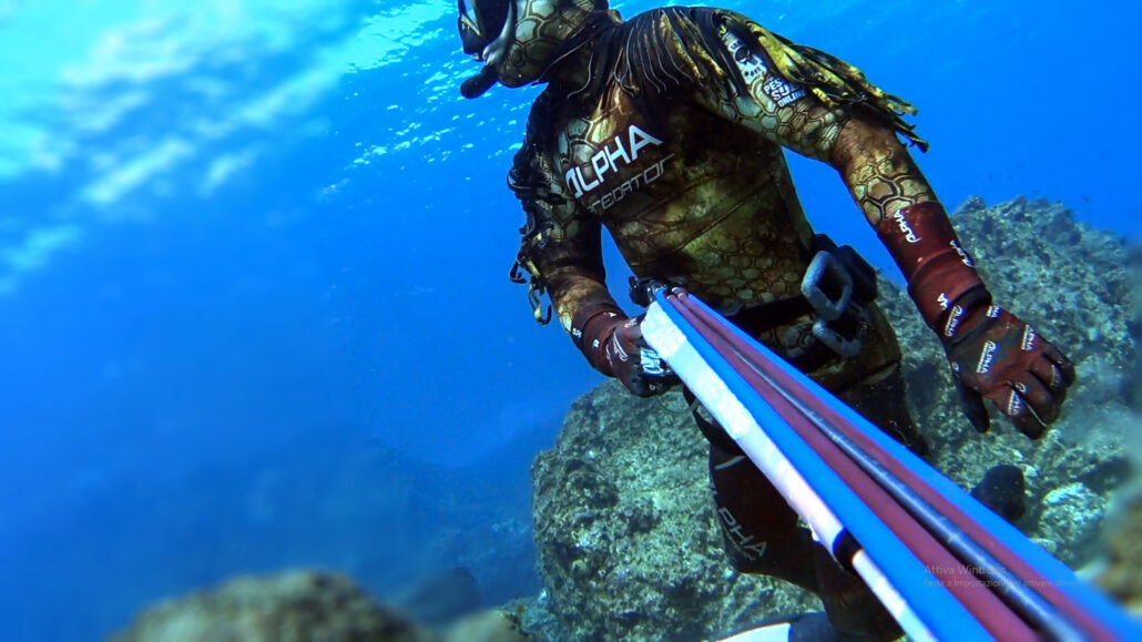 Spearfishing Gear