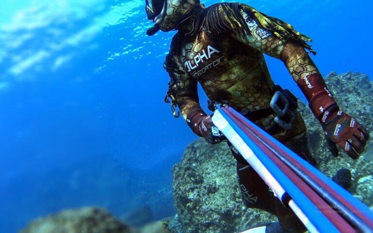 Spearfishing Gear | ALPHA Spearfishing Supplies – Alpha Spearfishing
