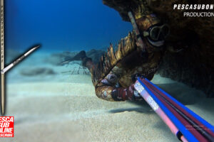 Spearfishing