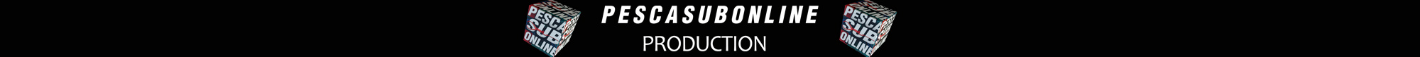 Image module