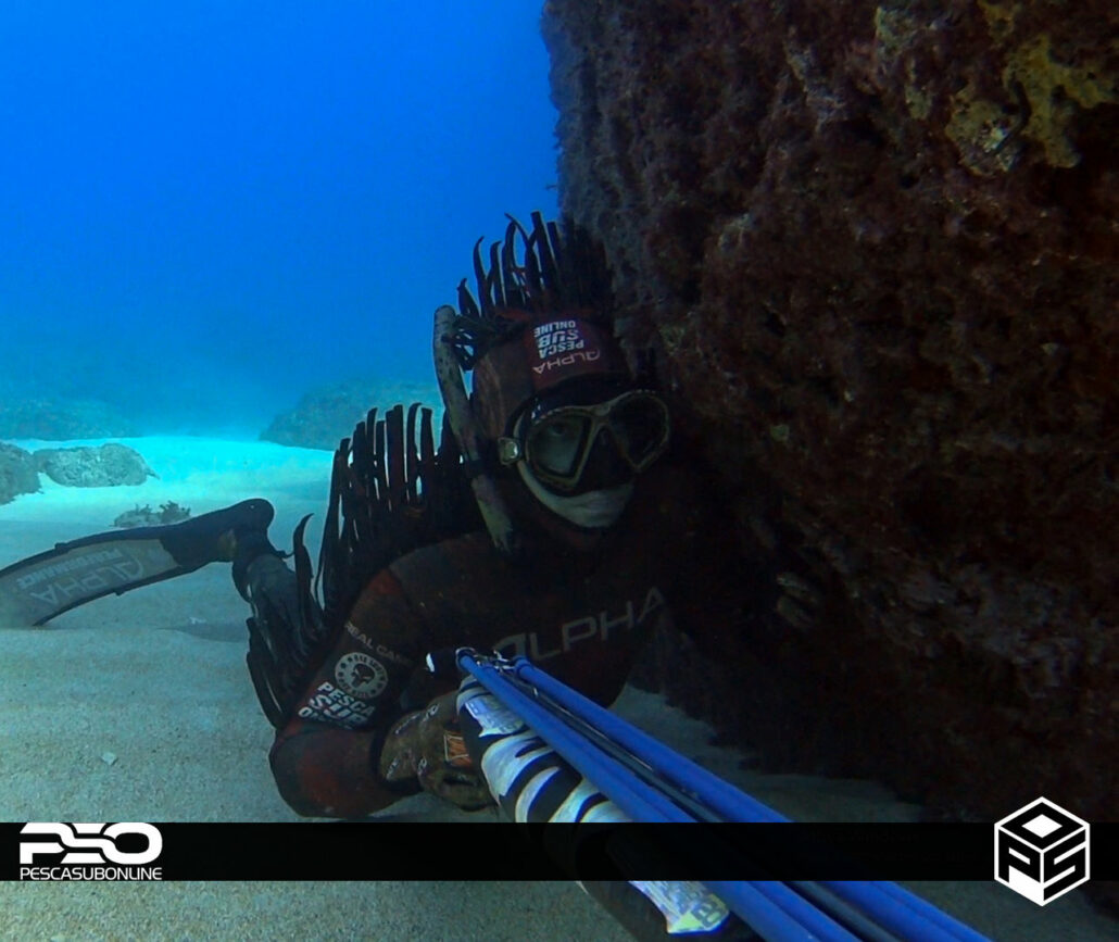alpha two piece Spearfishing wetsuits