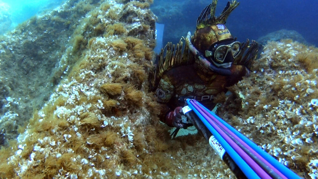 camo wetsuits