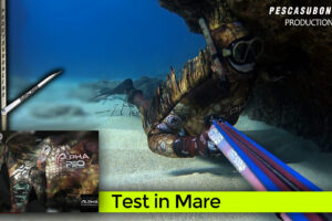 Custom spearfishing wetsuits