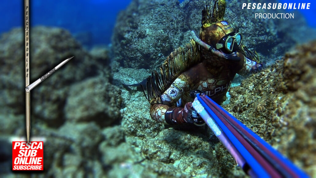 Combinaison de plongée sous marine