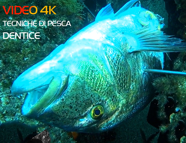 Pesca sub itinerari Sardegna