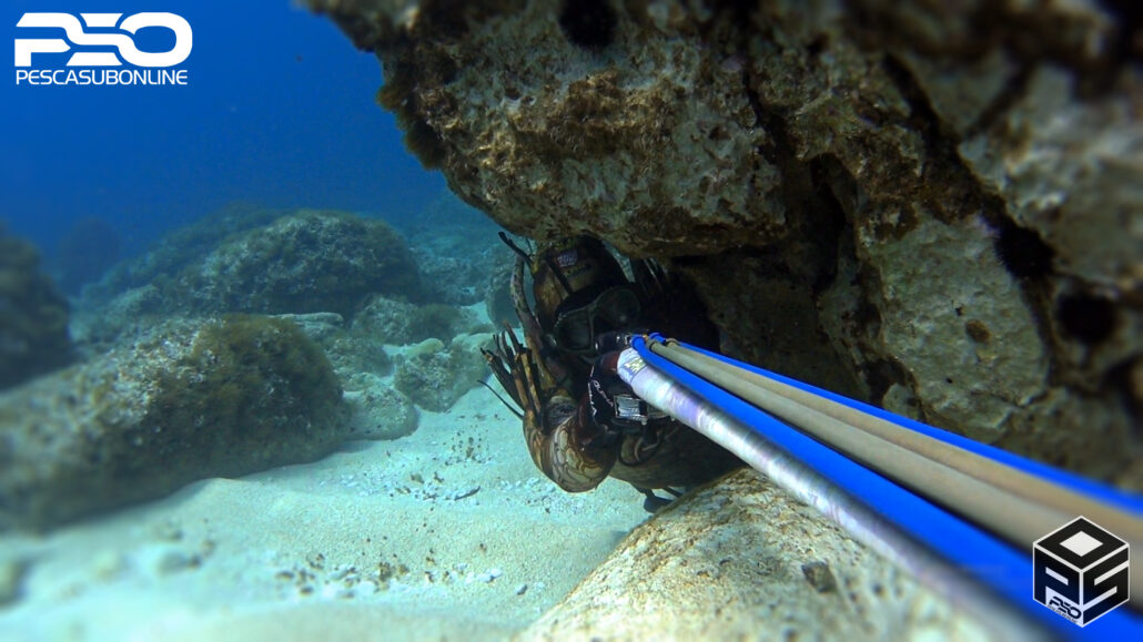 muta pesca apnea mimetica