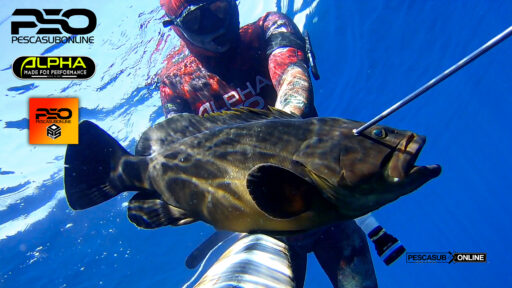 Pesca Sub Cernia bruna