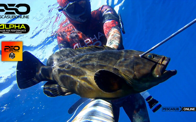Pesca Sub Cernia bruna