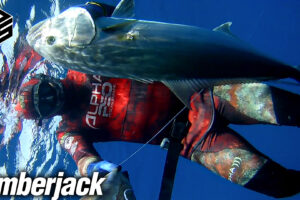 Spearfishing Wetsuit