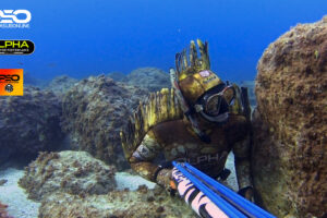 Spearfishing wetsuits camo