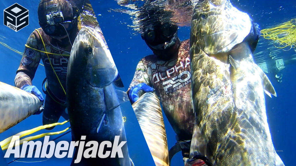 spearfishing adventures