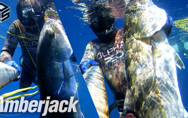 spearfishing adventures
