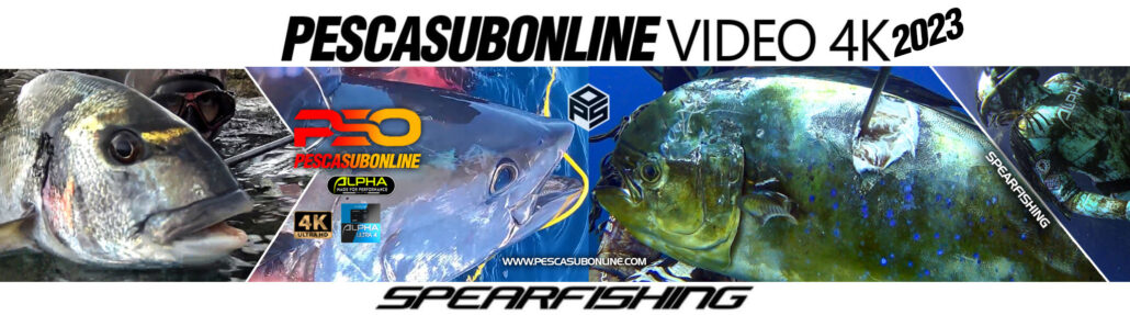 Pesca sub apnea