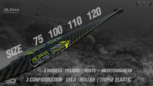 Fucile Arbalete Carbonio Alpha