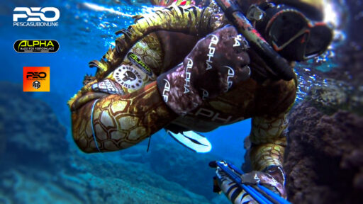 Apnea wetsuit for Spearfishing