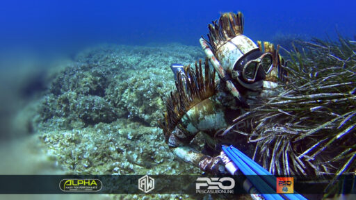 Pesca sub Calabria itinerari