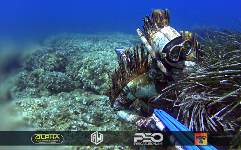 Pesca sub Calabria itinerari