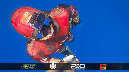 Spearfishing Pescasub Online