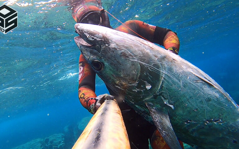 Spearfishing Tuna