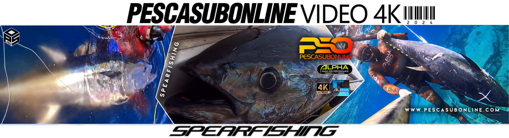 Spearfishing Video 4k