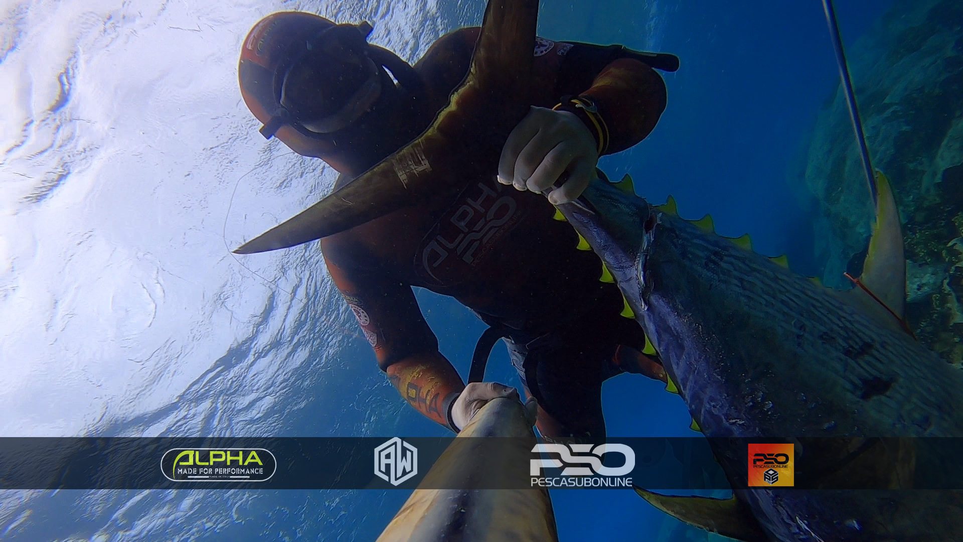 La Pesca in Apnea