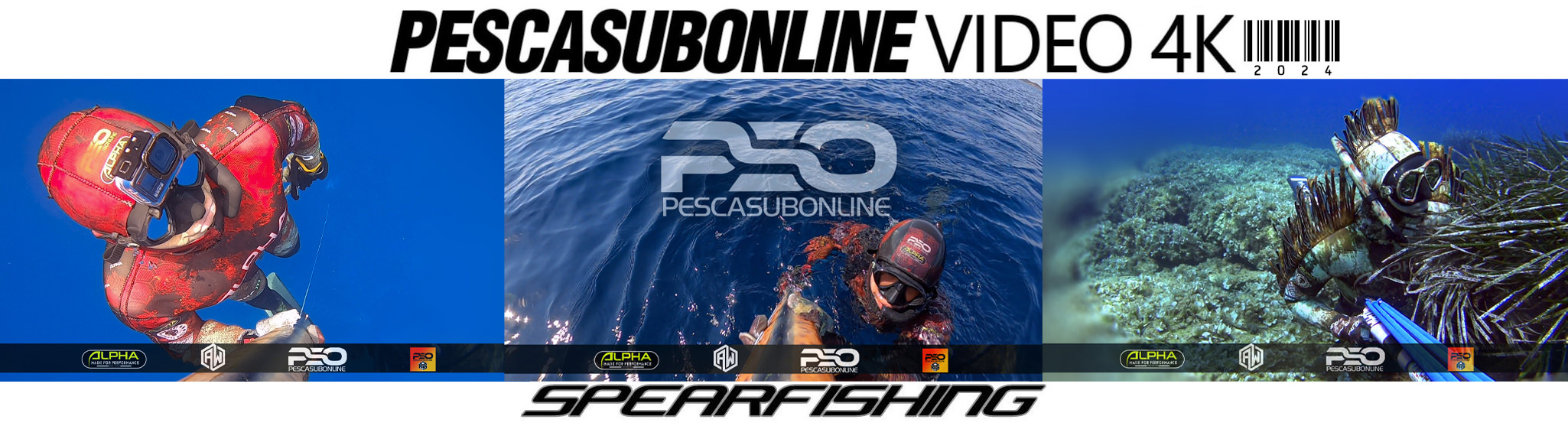 Spearfishing Video 4k