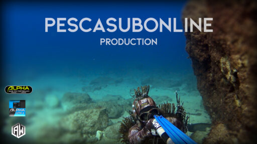 Spearfishing aspect technique