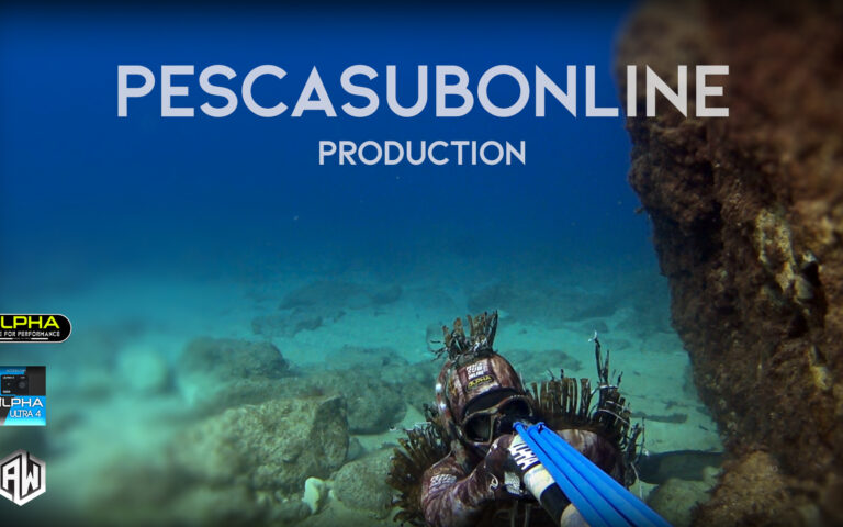 Spearfishing aspect technique