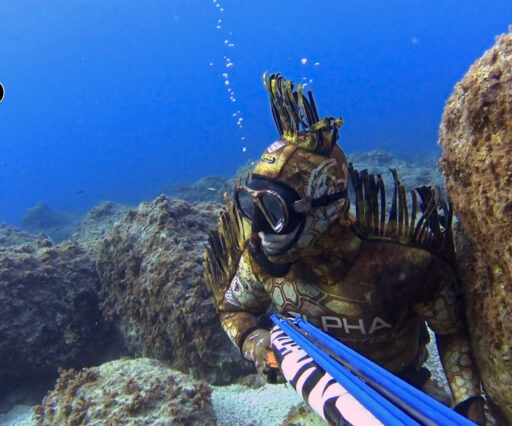 Pesca sub Sardegna