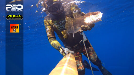 Pescasub Corvina Pesca subacquea