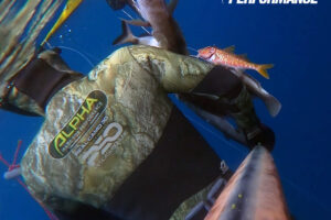 5mm Spearfishing Wetsuit