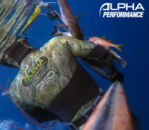 Best custom Spearfishing Wetsuits Alphawetsuits