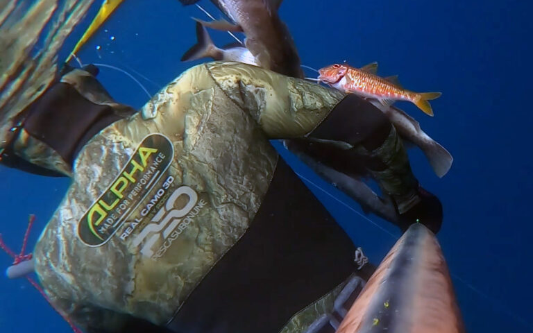 Best custom Spearfishing Wetsuits Alphawetsuits