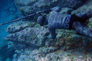 5mm Spearfishing Wetsuit