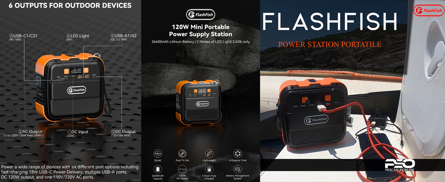 Flashfish A101 Power Station